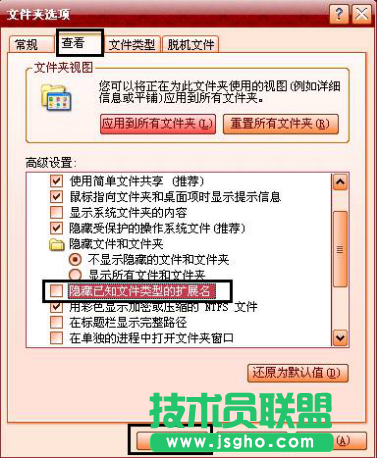 xp系統文件類型