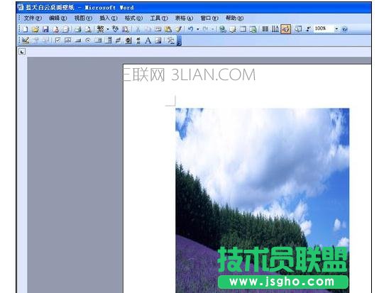 word宏修改圖片大小   三聯