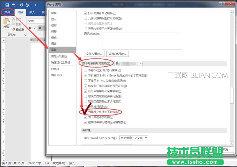 word2016空白處下劃線不顯示怎么辦？