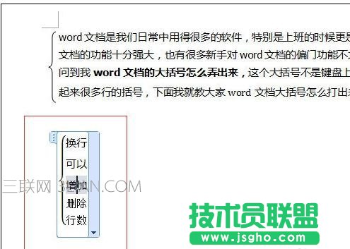 word中輸入大括號(hào)的兩種辦法