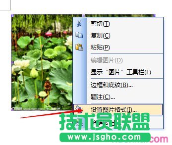 word如何設置圖片像素點