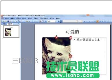ppt怎么設置文字環繞