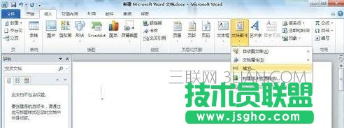 怎么在word中插入域