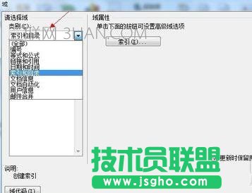 怎么在word中插入域