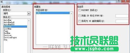怎么在word中插入域