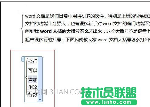 word中輸入大括號(hào)的方法