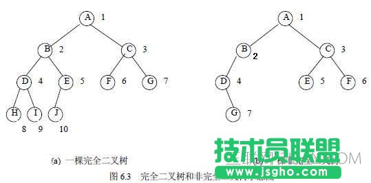 c語言 樹的基礎知識(必看篇) 三聯