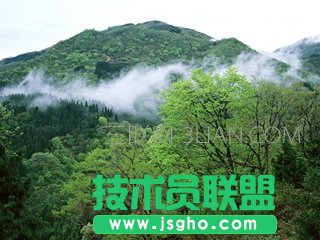 新手如何安全上網 三聯