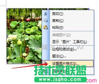 word怎么設置圖片像素點