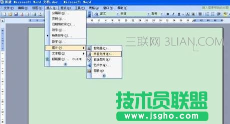 Word2013怎么將圖片上的文字提取出來(lái)