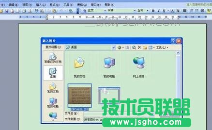 Word2013怎么將圖片上的文字提取出來(lái)