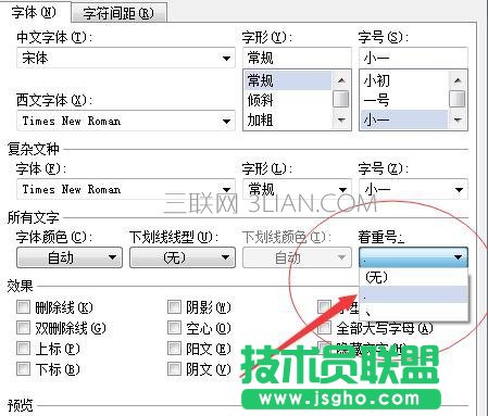 怎么在word中給文字加重號