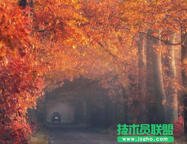 axure如何制作淘寶圖片輪播效果