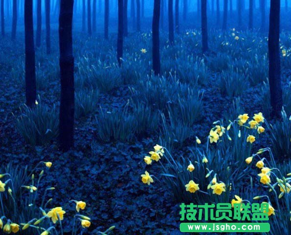 axure如何制作淘寶圖片輪播效果 三聯(lián)