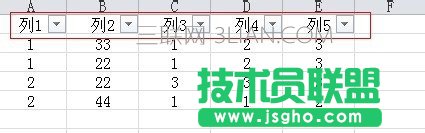 怎樣在excel2010中篩選