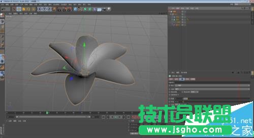 C4D如何制作花開的動畫效果