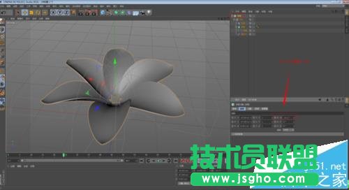 C4D如何制作花開的動畫效果