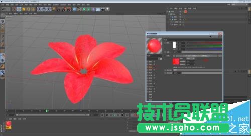 C4D如何制作花開的動畫效果