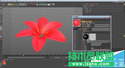 C4D如何制作花開的動畫效果
