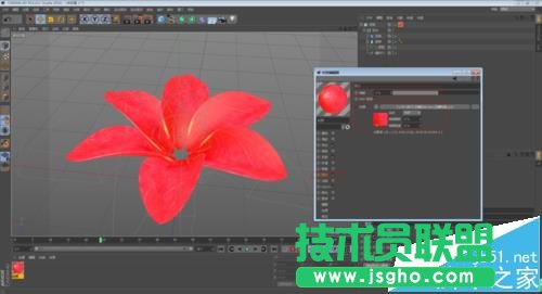 C4D如何制作花開的動畫效果