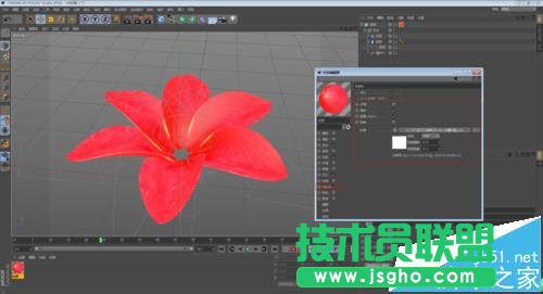 C4D如何制作花開的動畫效果