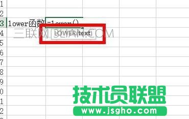 Excel中如何將文本轉換為小寫形式
