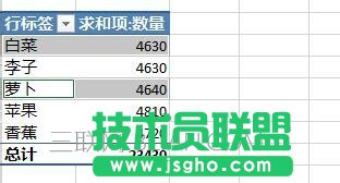 Excel數據透視表如何給字段分組