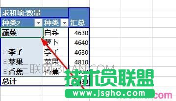 Excel數據透視表如何給字段分組