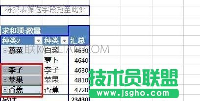 Excel數據透視表如何給字段分組