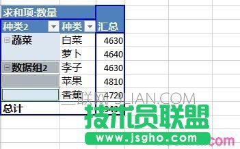 Excel數據透視表如何給字段分組