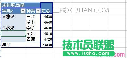 Excel數據透視表如何給字段分組