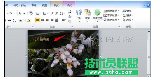 ppt2007怎么把圖片組合在一起