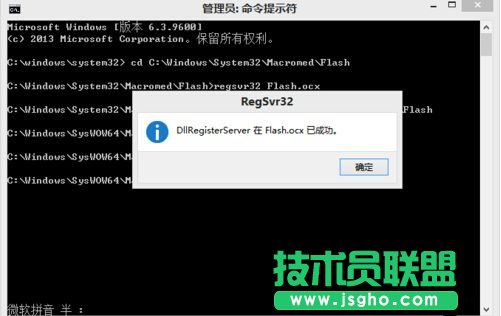 Win8更新adobe后Flash加載不了怎么解決？