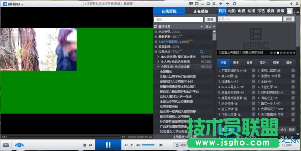 Win8升級Win8.1后播放視頻綠屏怎么辦？