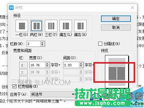 wps分欄怎么設置