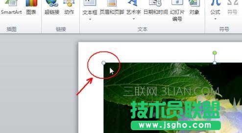 怎么使插入PPT的圖片布滿幻燈片