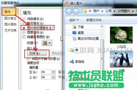 怎么使插入PPT的圖片布滿幻燈片