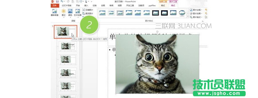 PPT制作技巧:如何將圖片應(yīng)用所有的PPT頁(yè)面?