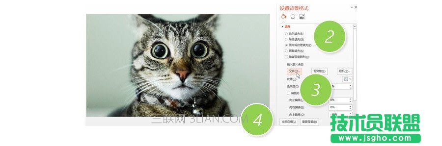 PPT制作技巧:如何將圖片應(yīng)用所有的PPT頁(yè)面?