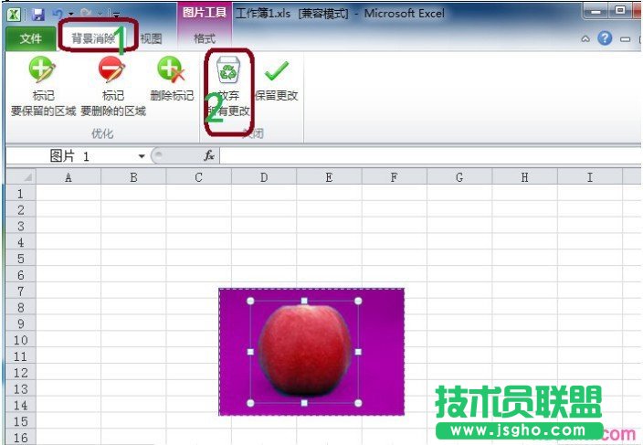 Excel2010技巧:輕松去除圖片的背景
