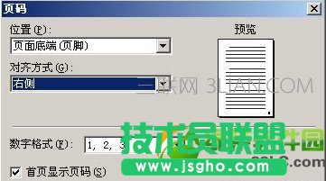 wps怎么設置頁碼?WPS從指定頁開始設置頁碼方法2