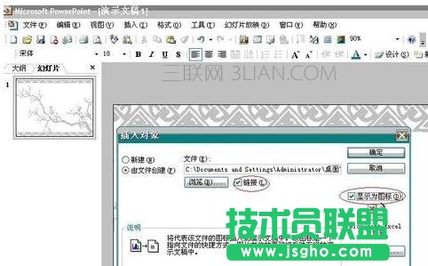 在ppt中怎么加入word