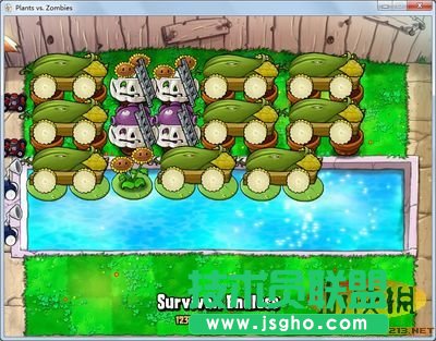 《植物大戰僵尸》單邊植物9炮陣圖文視頻演示