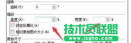 wps文字如何批量設置圖片尺寸