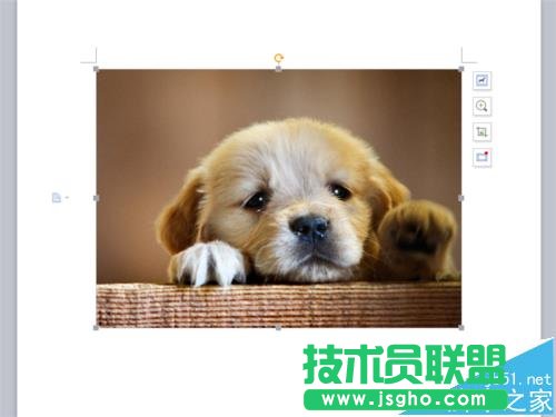 WPS2016中jpg圖片格式轉換為PDF格式方法