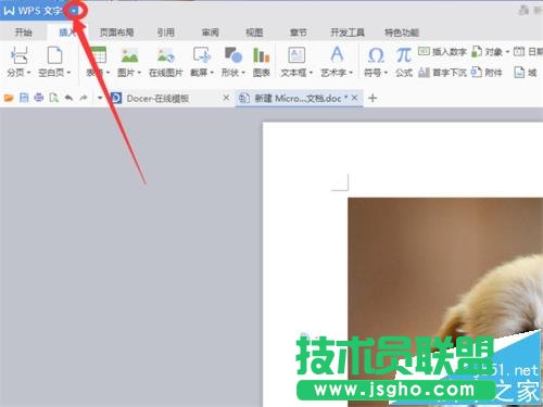 WPS2016中jpg圖片格式轉換為PDF格式方法