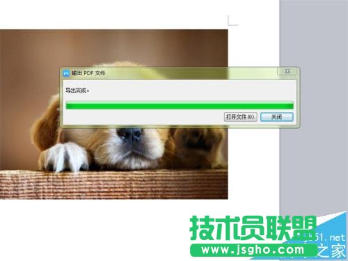WPS2016中jpg圖片格式轉換為PDF格式方法