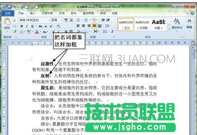 word中如何批量加粗每段首詞 三聯