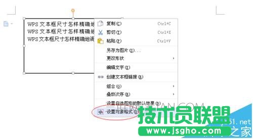 wps文本框大小調整 三聯