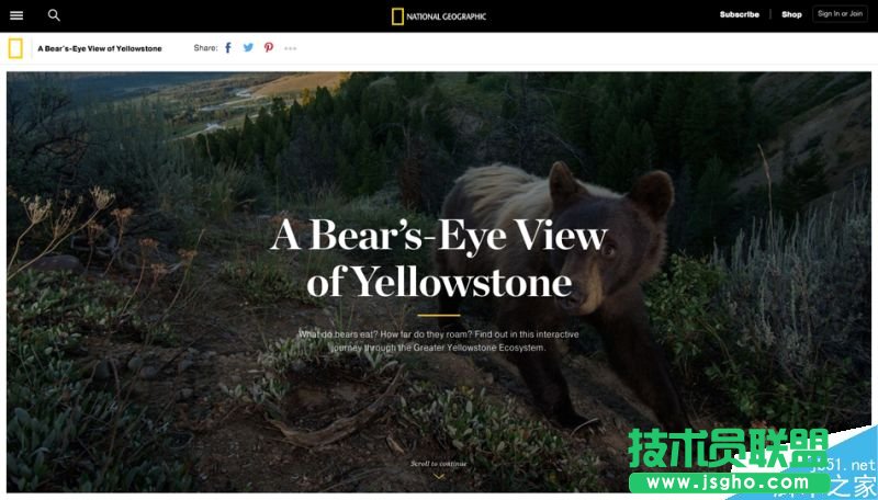 2017年UI設計的10個最重要的趨勢分享